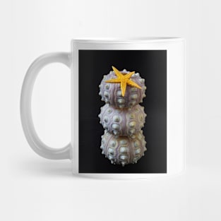 Starfish On Stacked Sea Urchins Mug